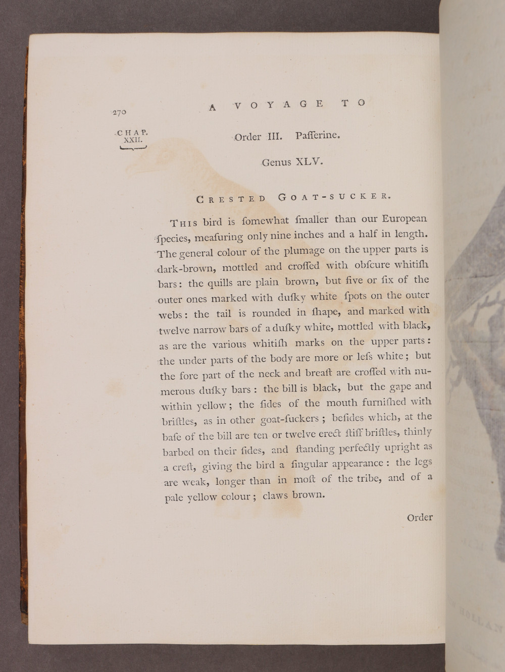 Page 270